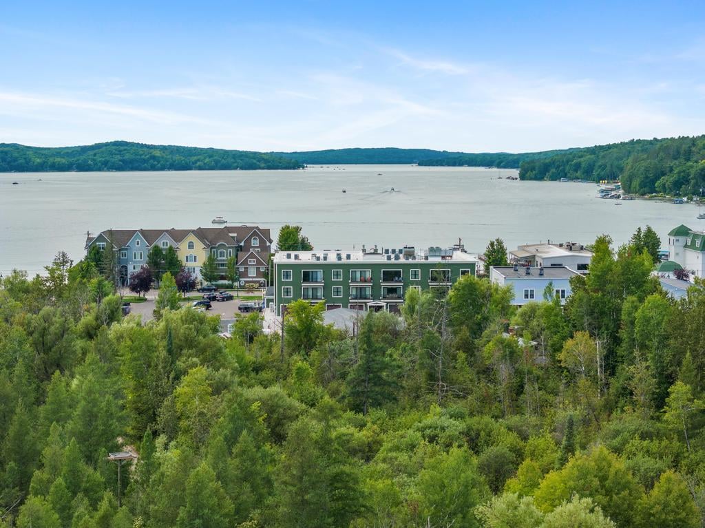 Renwick #1, Walloon Lake