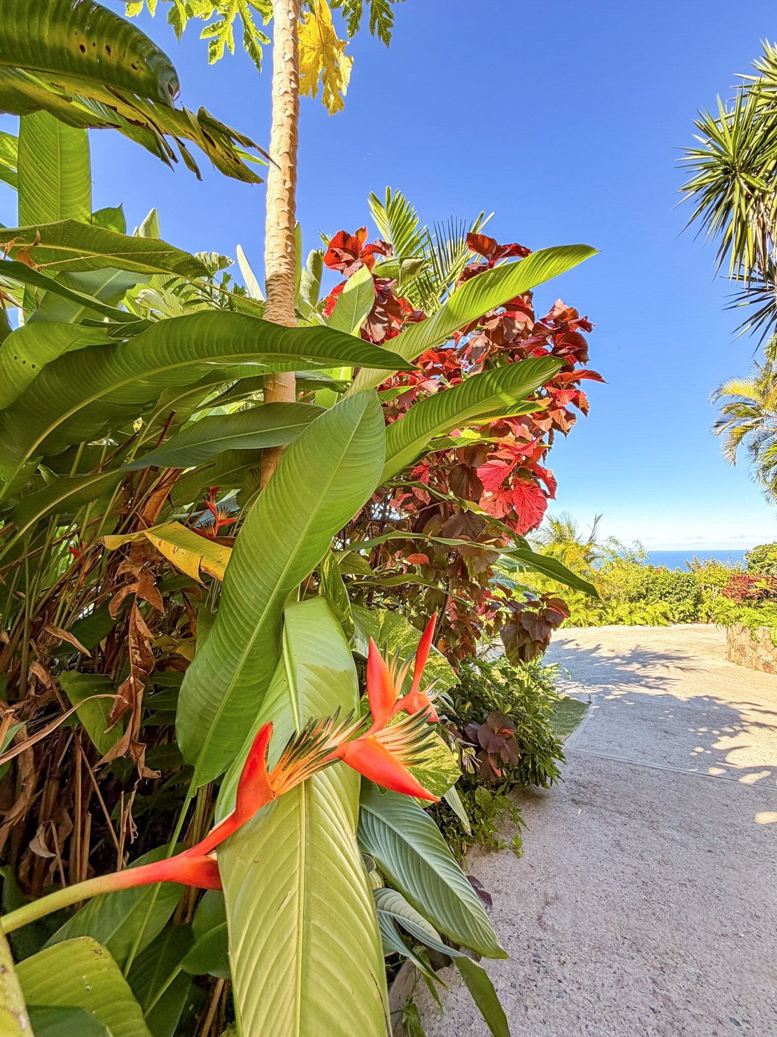 1105 Villa Botanica