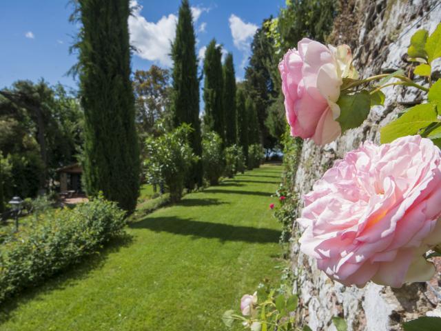 Stunning Luxury Castle Near Siena with Pool