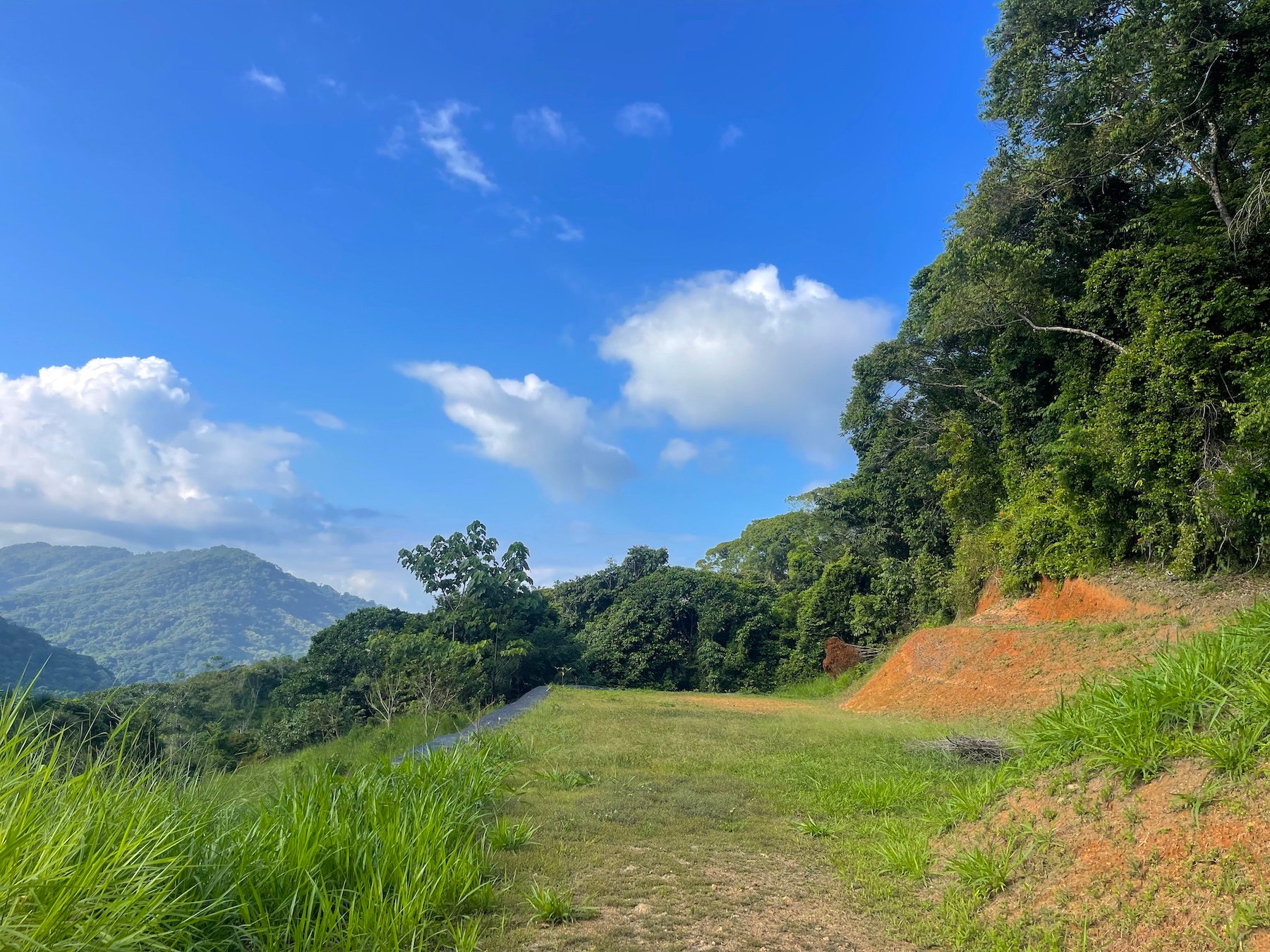 30-ACRES OF LAND WITH RIVER ACCESS, ROADS, AND BUILDING PADS IN LAGUNAS