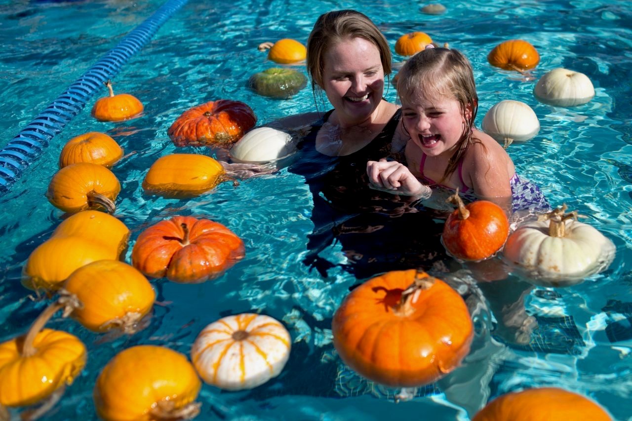 The Ultimate Guide to Sonoma County Pumpkin Patches in 2025