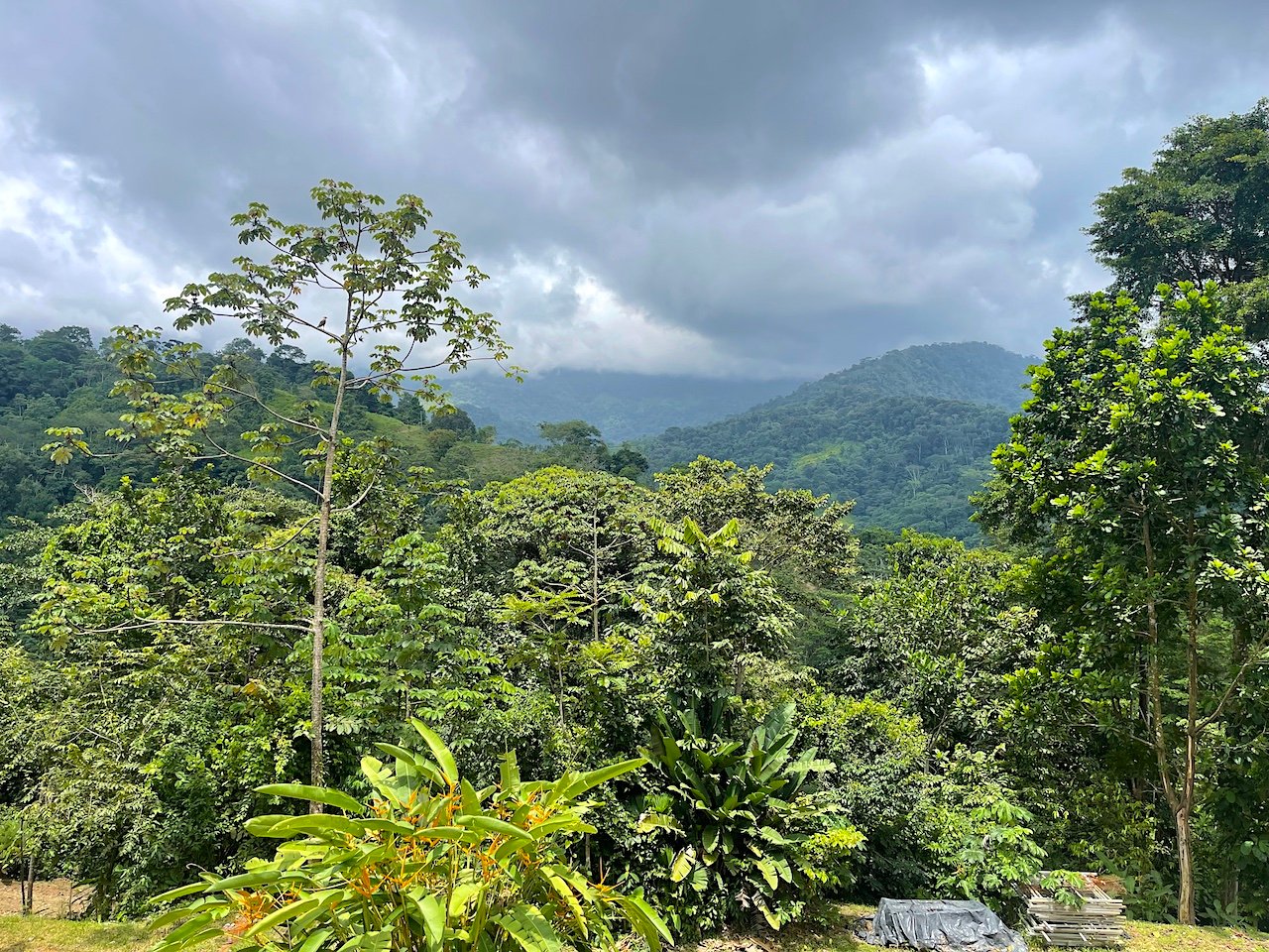 UVITA LAND WITH MULTIPLE BUILDING PADS – 25 ACRES