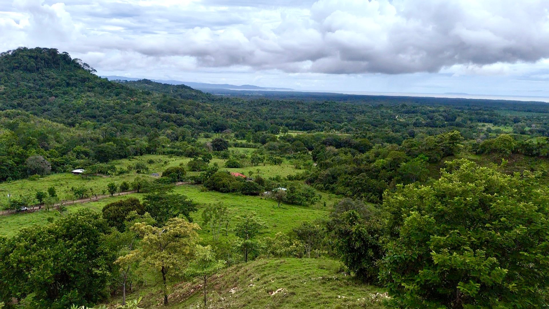 Ocean View Sanctuary in San Buenas – 4.94 Acres of Pastures & Easy Accessaccess