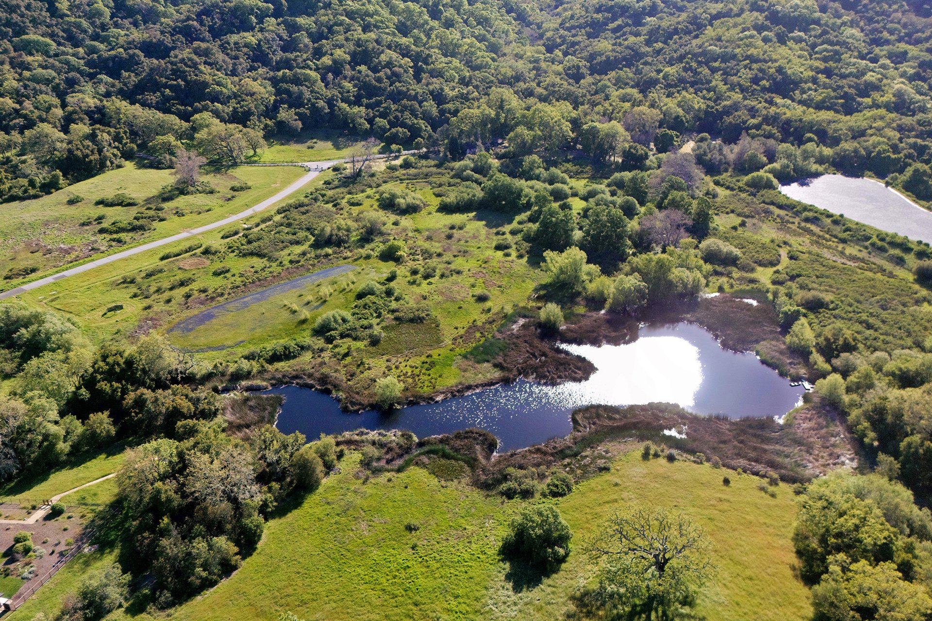 Stunning Preserve Compound - 34205 Robinson Canyon Rd