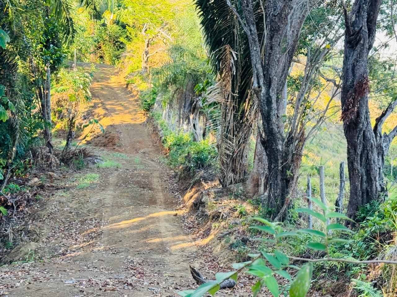 Finca Herradura | 82-Hectare Ocean View Development Land Near Los Sueños, Jacó