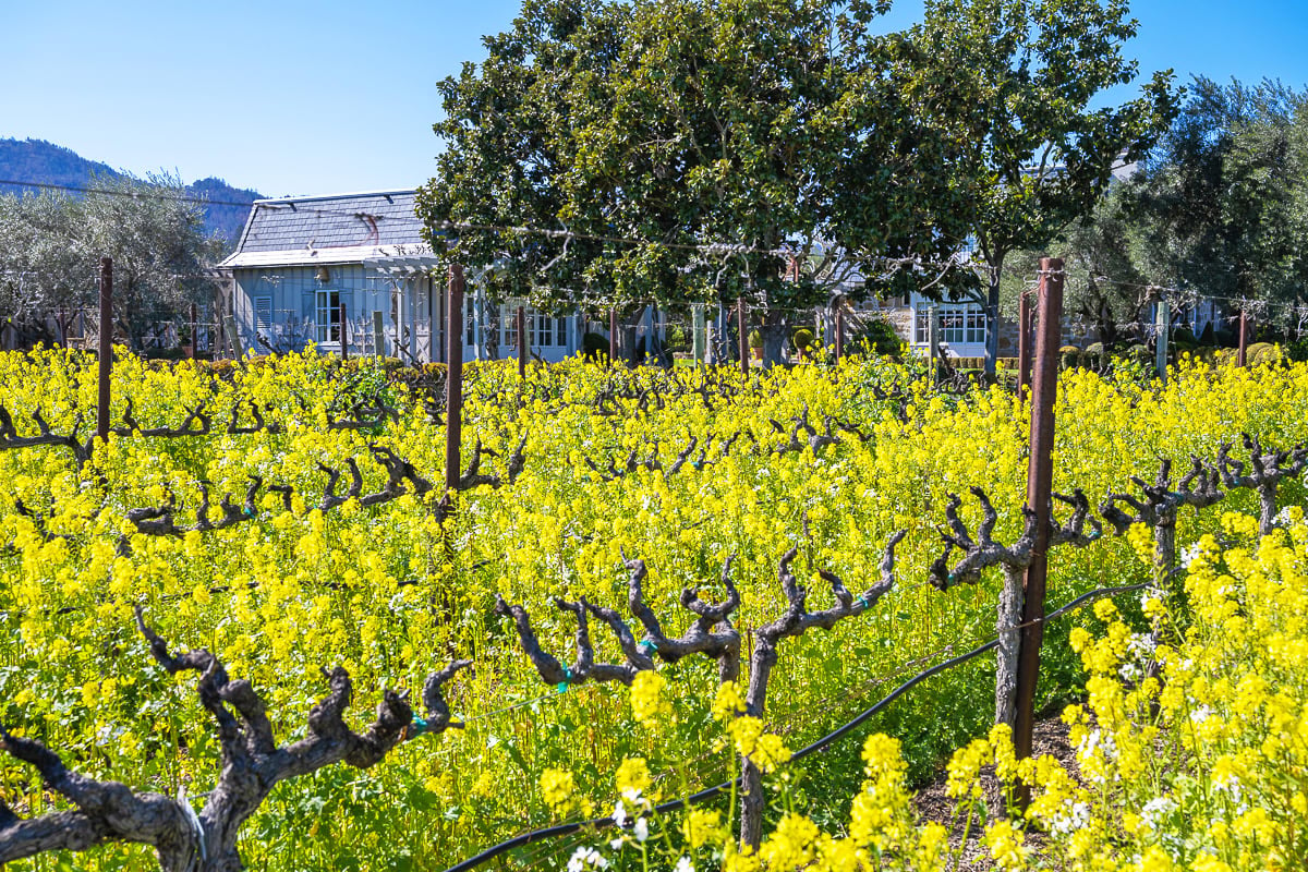 Inglewood Avenue, St. Helena