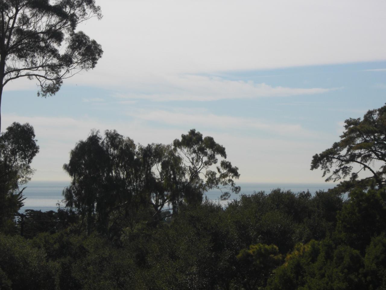 1365 Estrella Dr