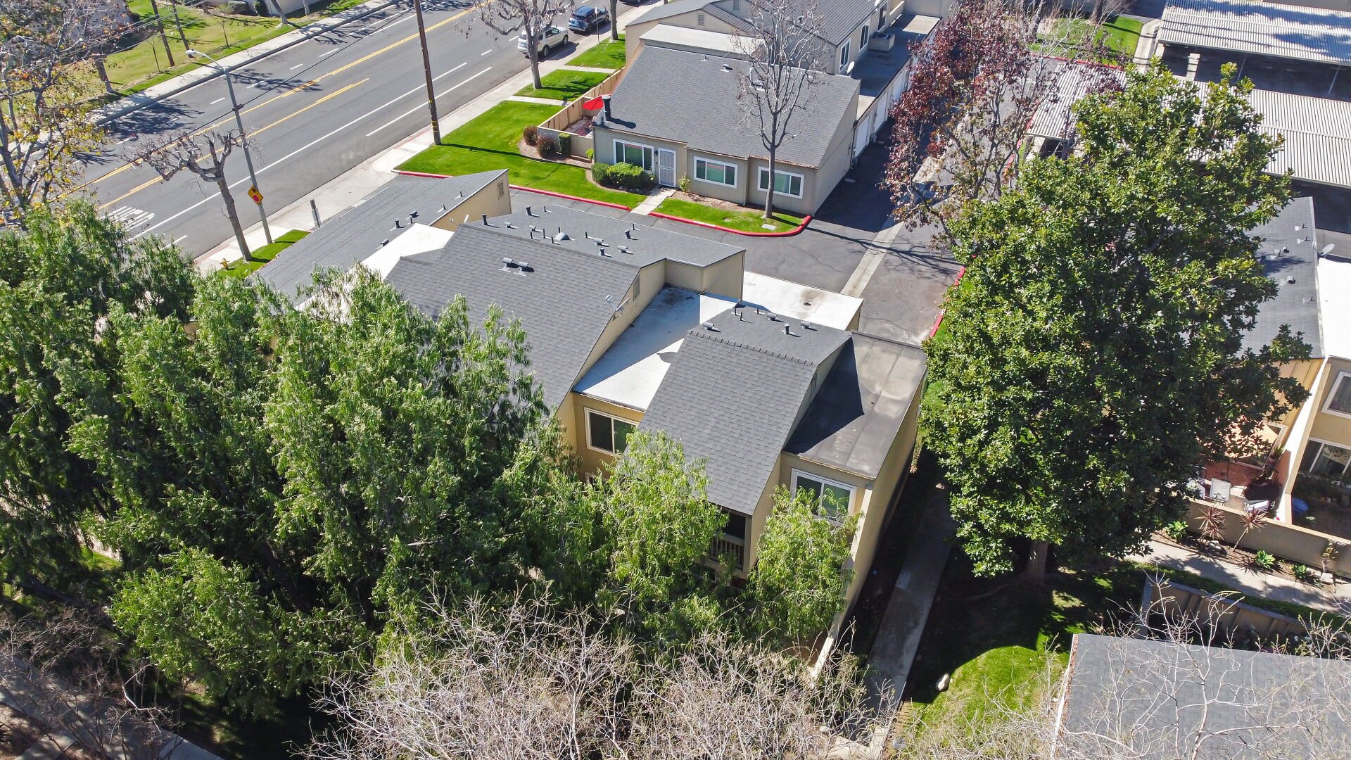 1453 Cypress Street