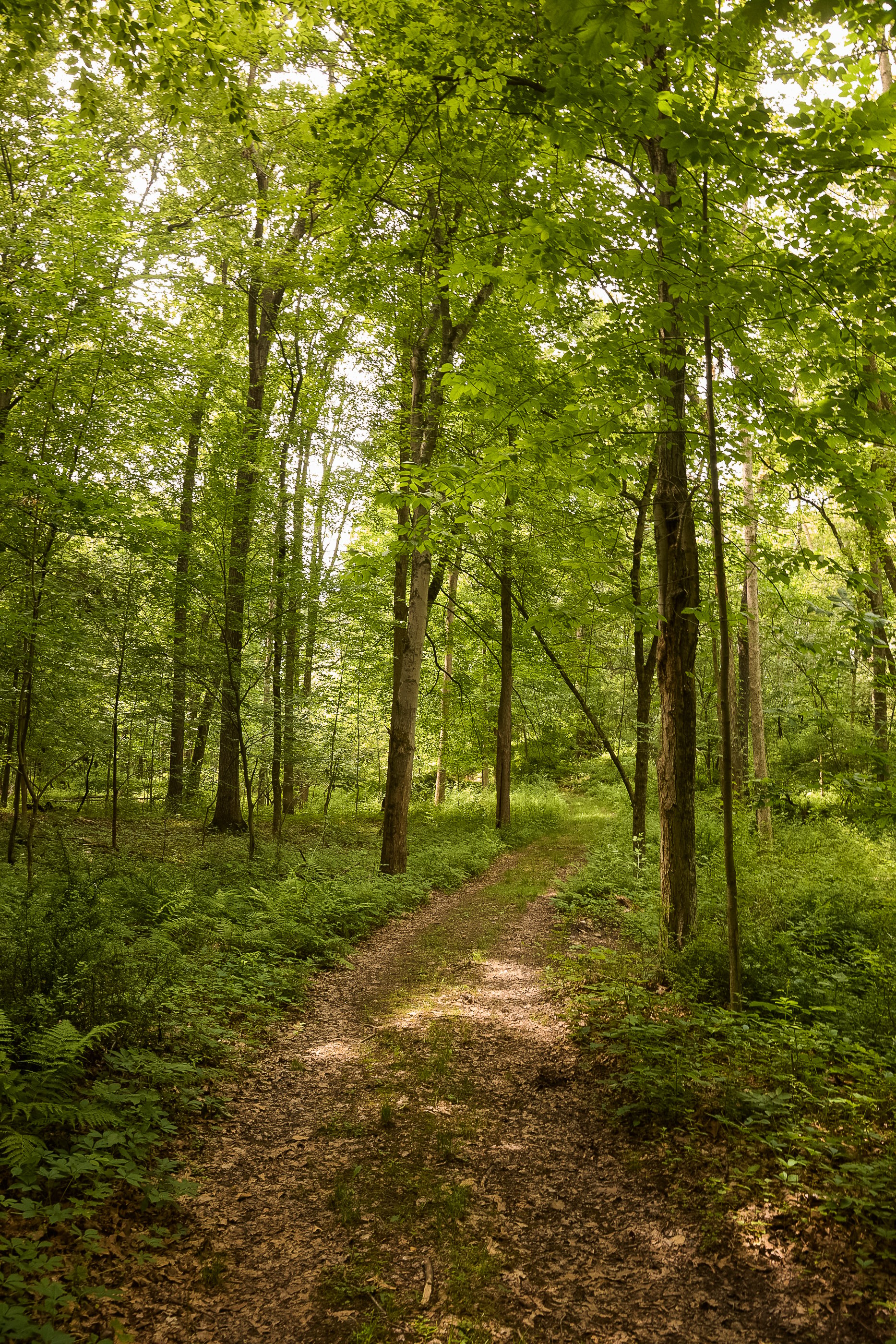 54 Fowler Lake Road, Ghent, New York