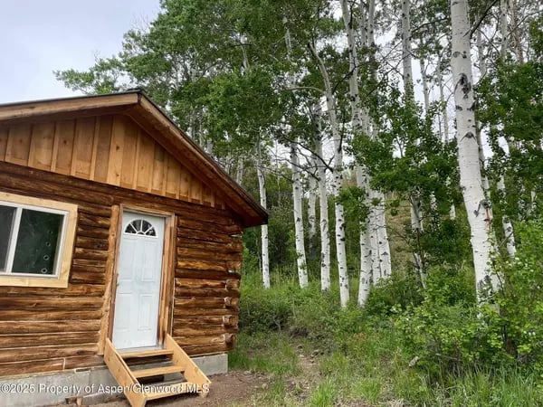 Rustic log cabin with a white door beside a grove of aspens.