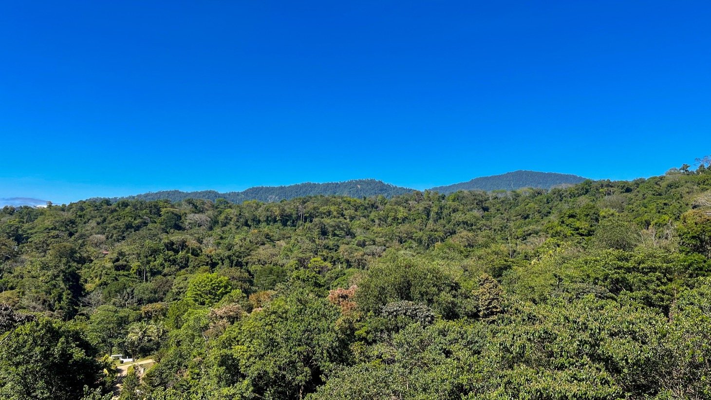 1.3-Acre Mountain View Land with 3 Building Sites in Uvita