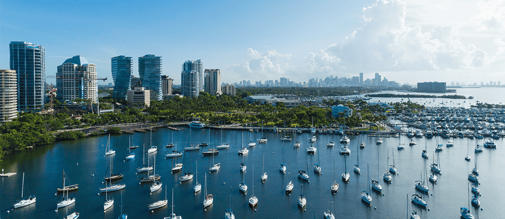 Spotlight Series: Coconut Grove