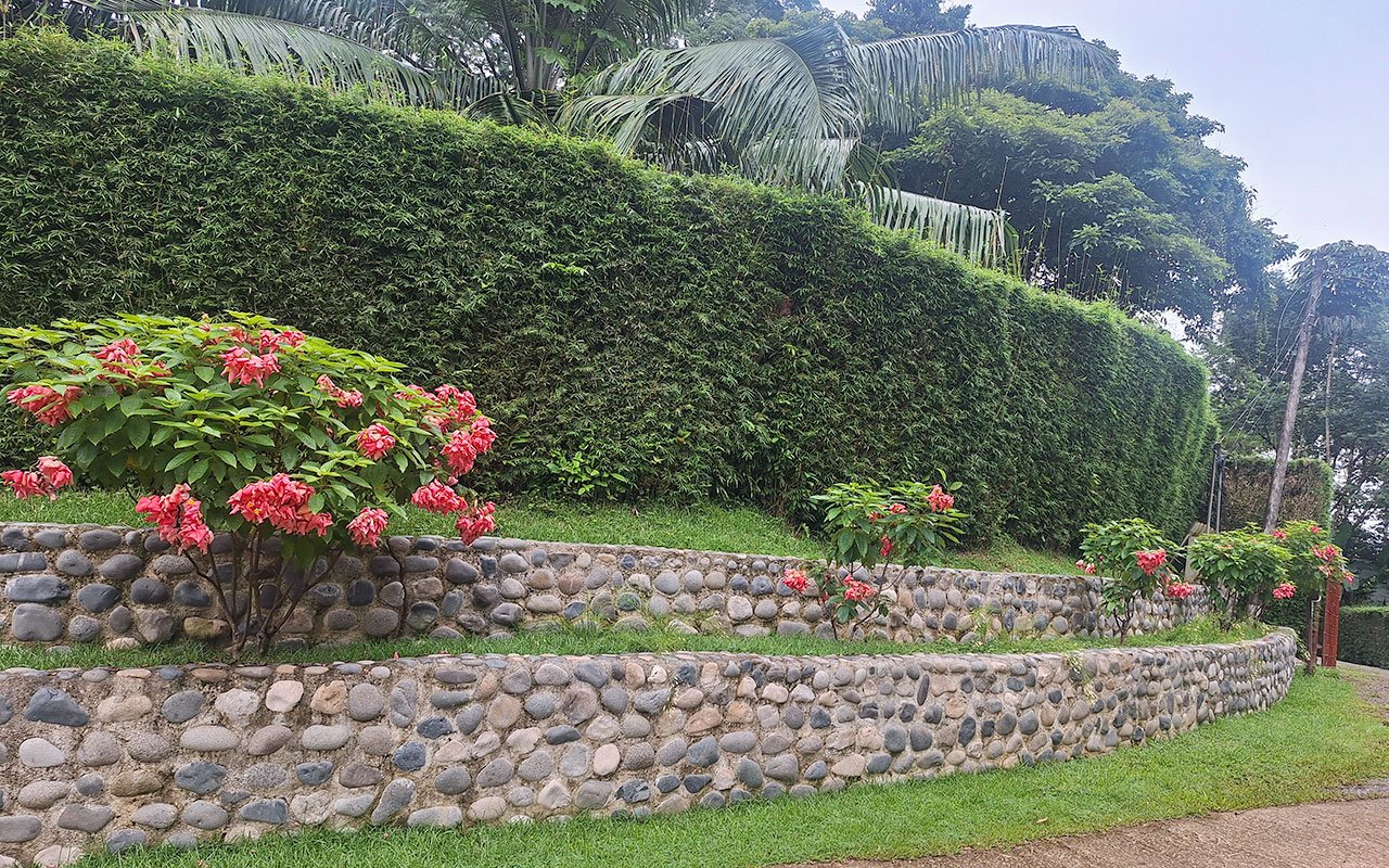 Tropical Getaway with Two Villas and Lush Gardens Near the Heart of Uvita