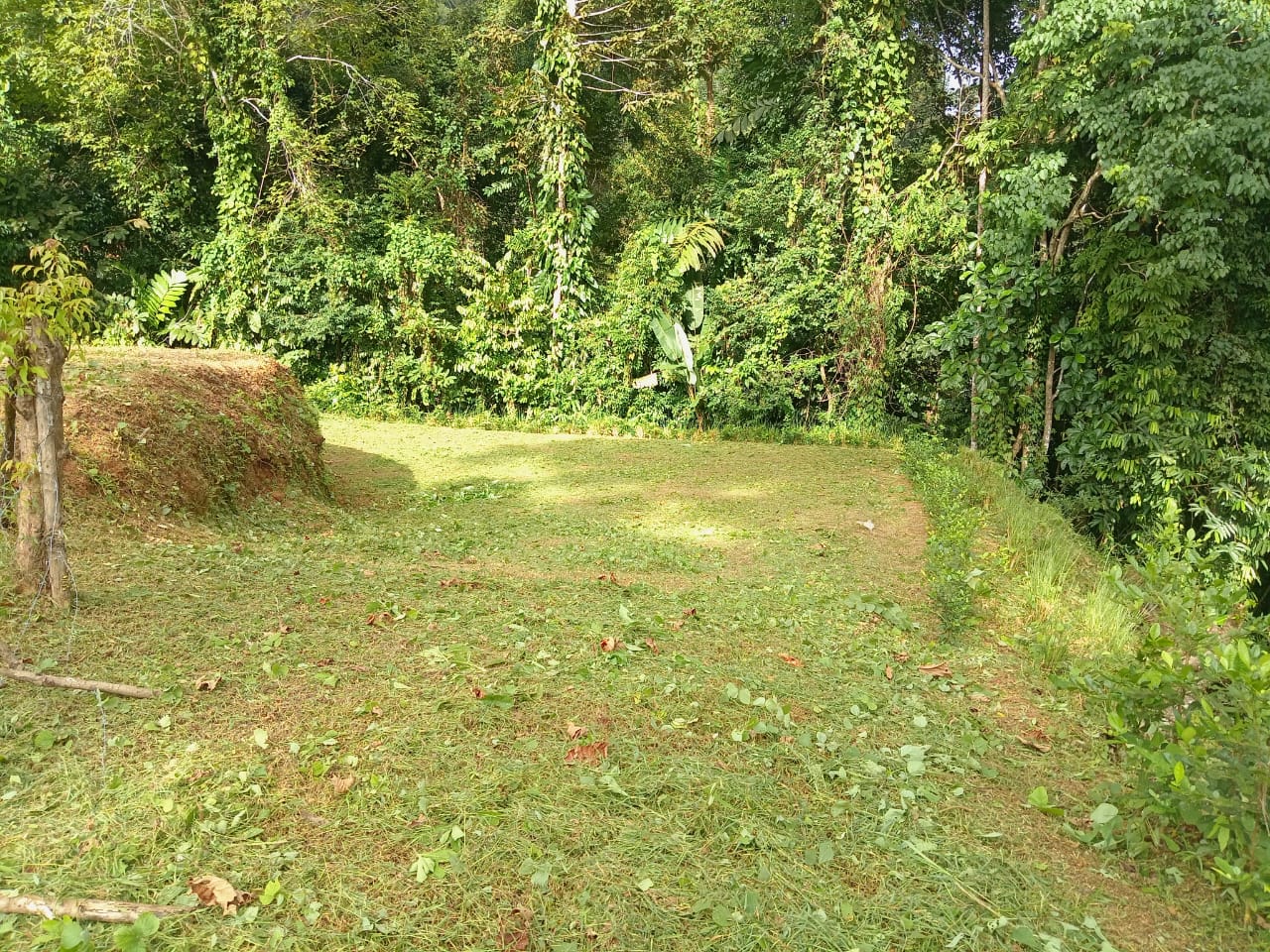 0.46 ACRES – Ocean View Land With Ready To Build Site, 2 Minutes Away From El Pavon Waterfall, Utilities On Site & Virgin Forest!!!