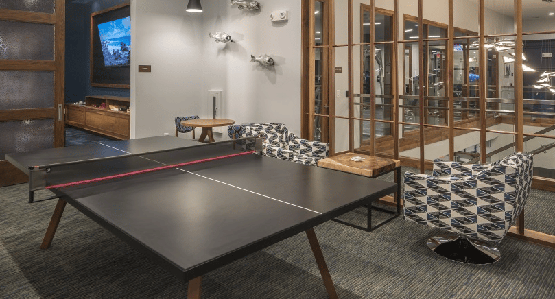 Ping Pong Table