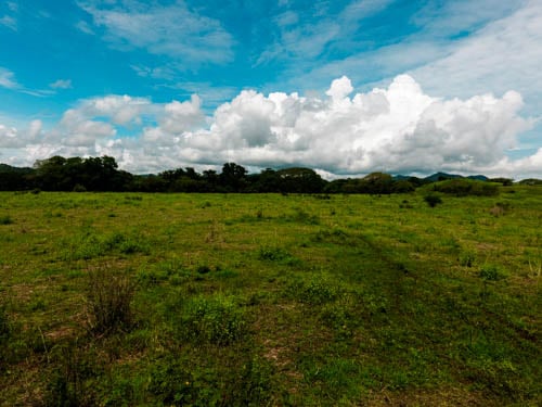 Sardinal Farm, Serene Oasis by the Sardinal River: Prime Real Estate in Guanacaste