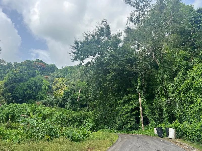 Carr 349 Km 1.01 Bo Quebrada Grande