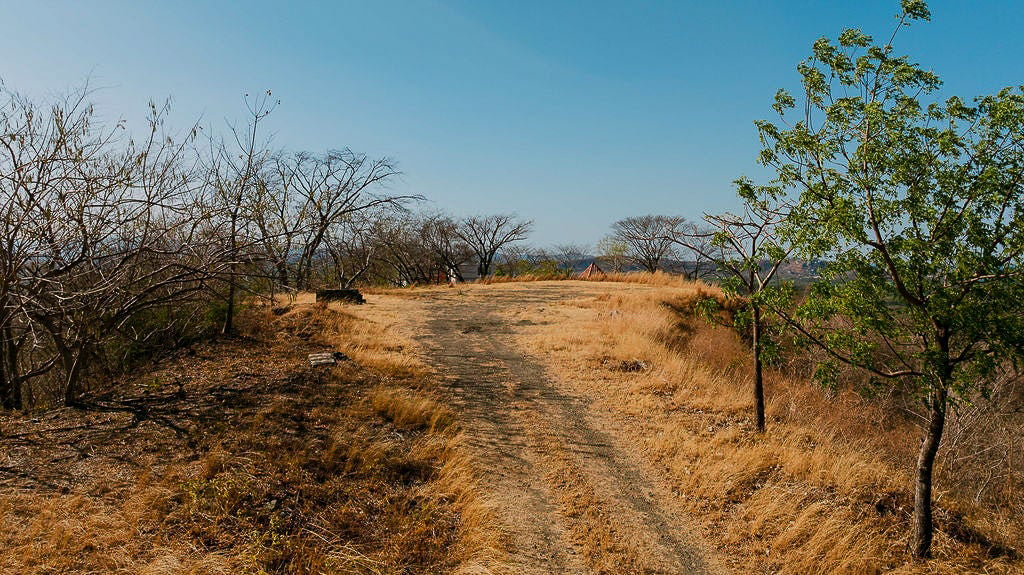 Corona del Cabo Lot 16 | 5,014 m² Buildable Lot Near Playa Grande