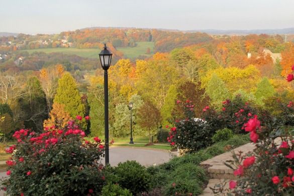 Inside Farragut's Most Exclusive Neighborhoods
