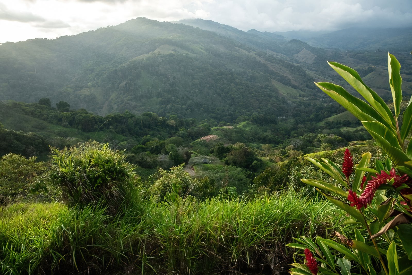 60+ Hectares in Platanillo | Own Your Own Mountain in Costa Rica