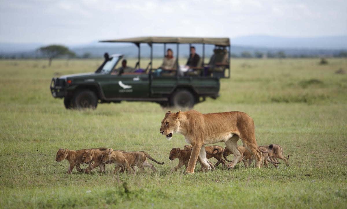 Summer 2022 Travel Trend: Safari off the Beaten Path