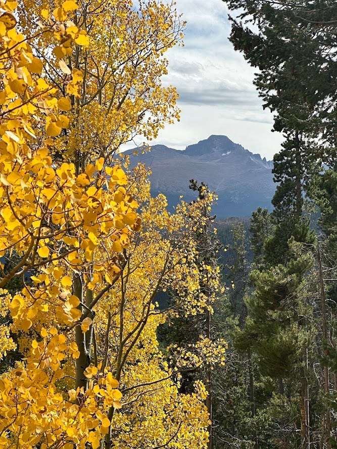 Where the Road Meets the Sky: Driving Trail Ridge Road