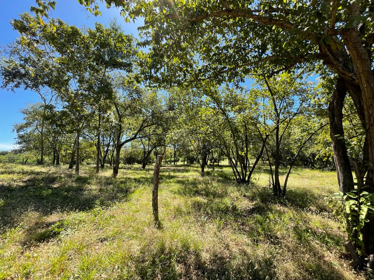 Beautiful Estate Lots Strategically Located in Villareal – Tamarindo – Guanacaste