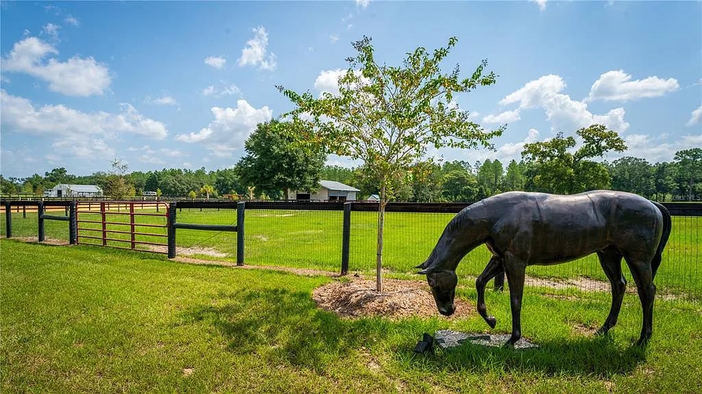 3650 SE 165th Ave, Morriston, FL 32668