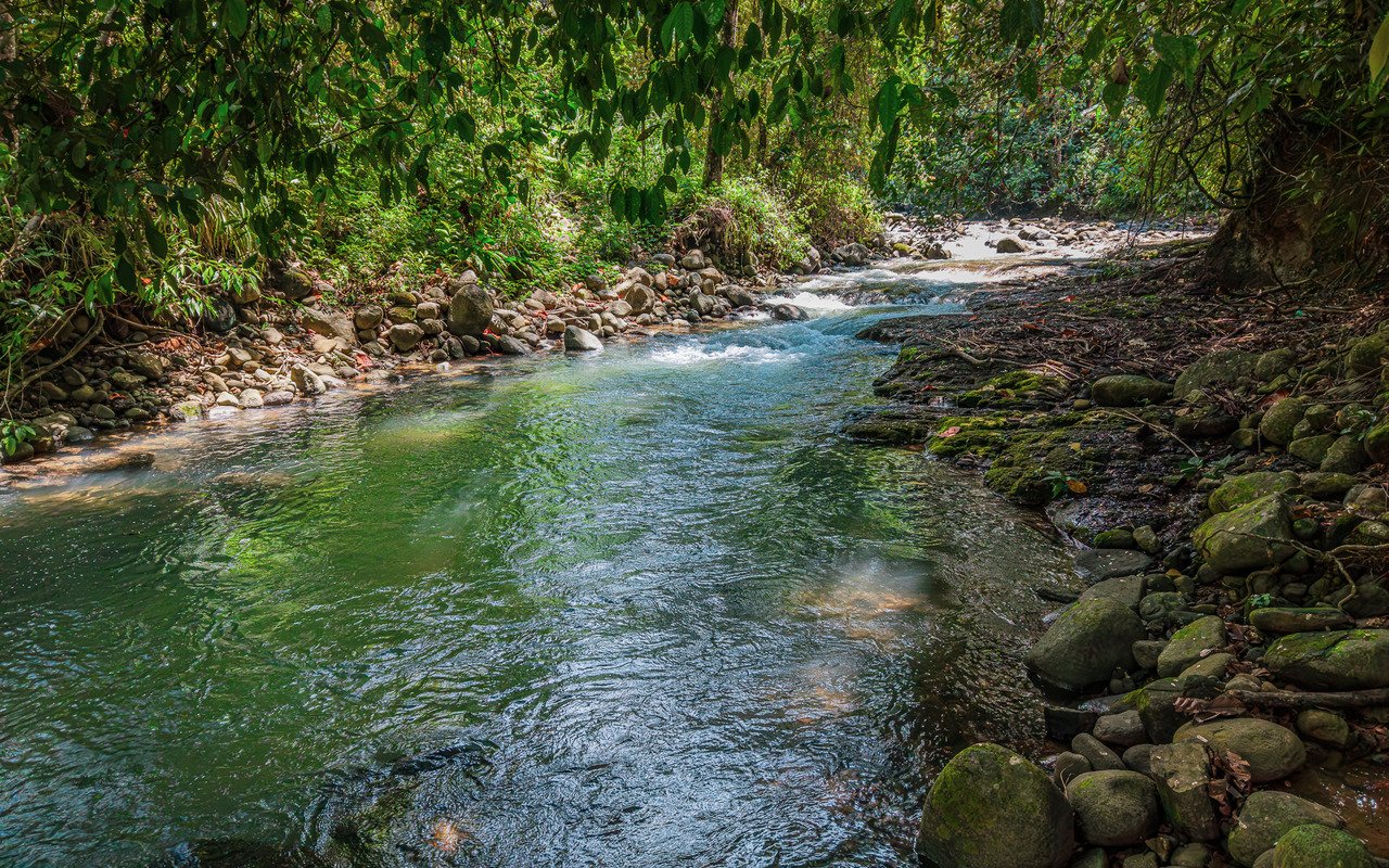 Unique Riverfront Home With Prime Location in Uvita