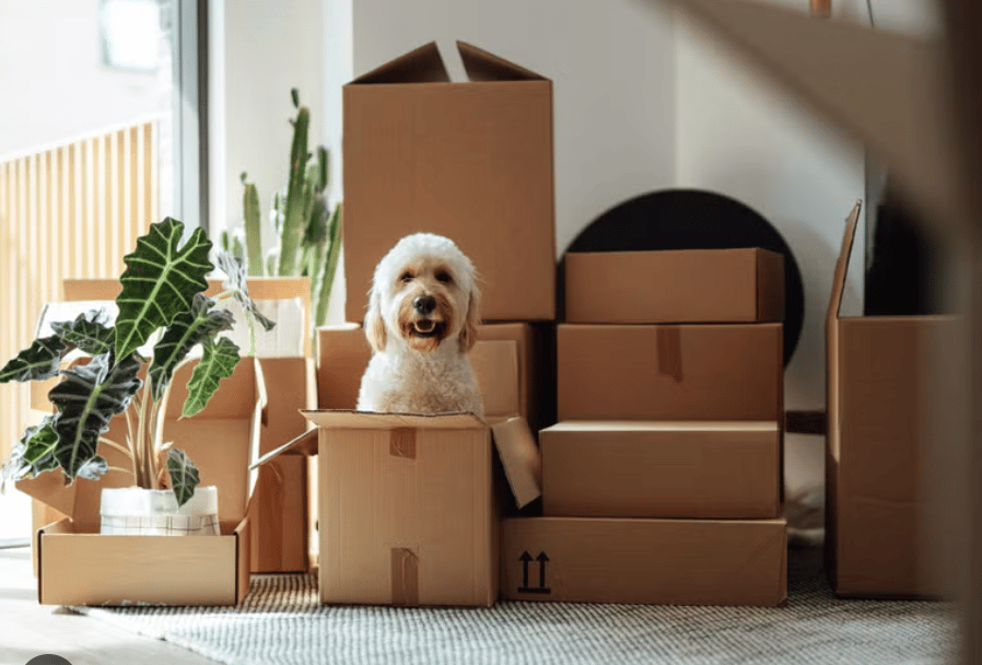 **4-Week Accelerated Moving Guide