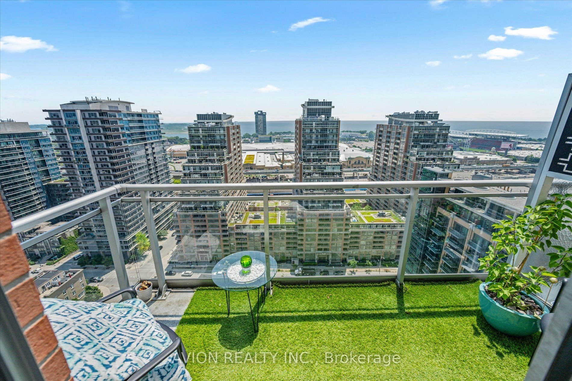 LIBERTY VILLAGE GOALS