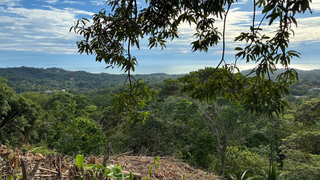 Spectacular Ocean View Lot in Ojochal Phase 9