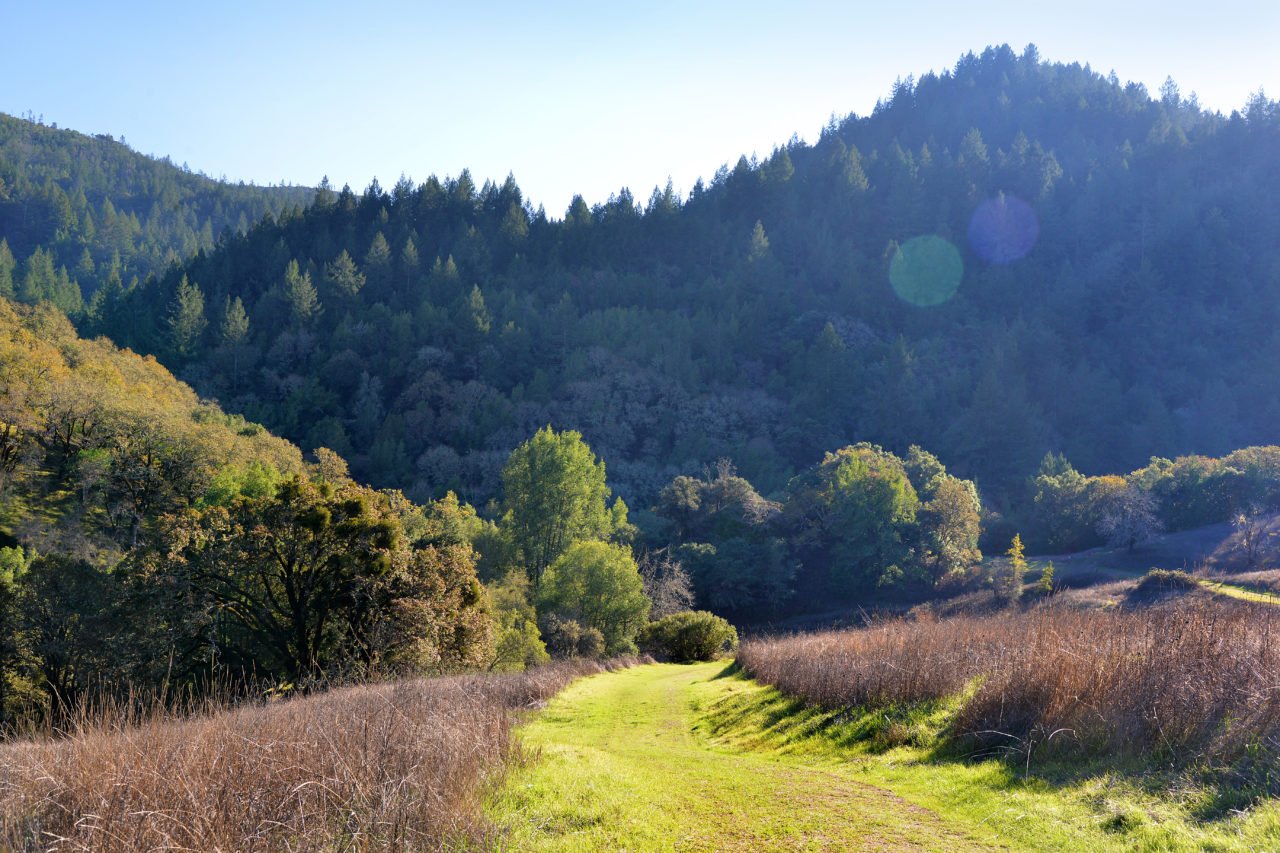 Top 10 Camping Spots in Sonoma County