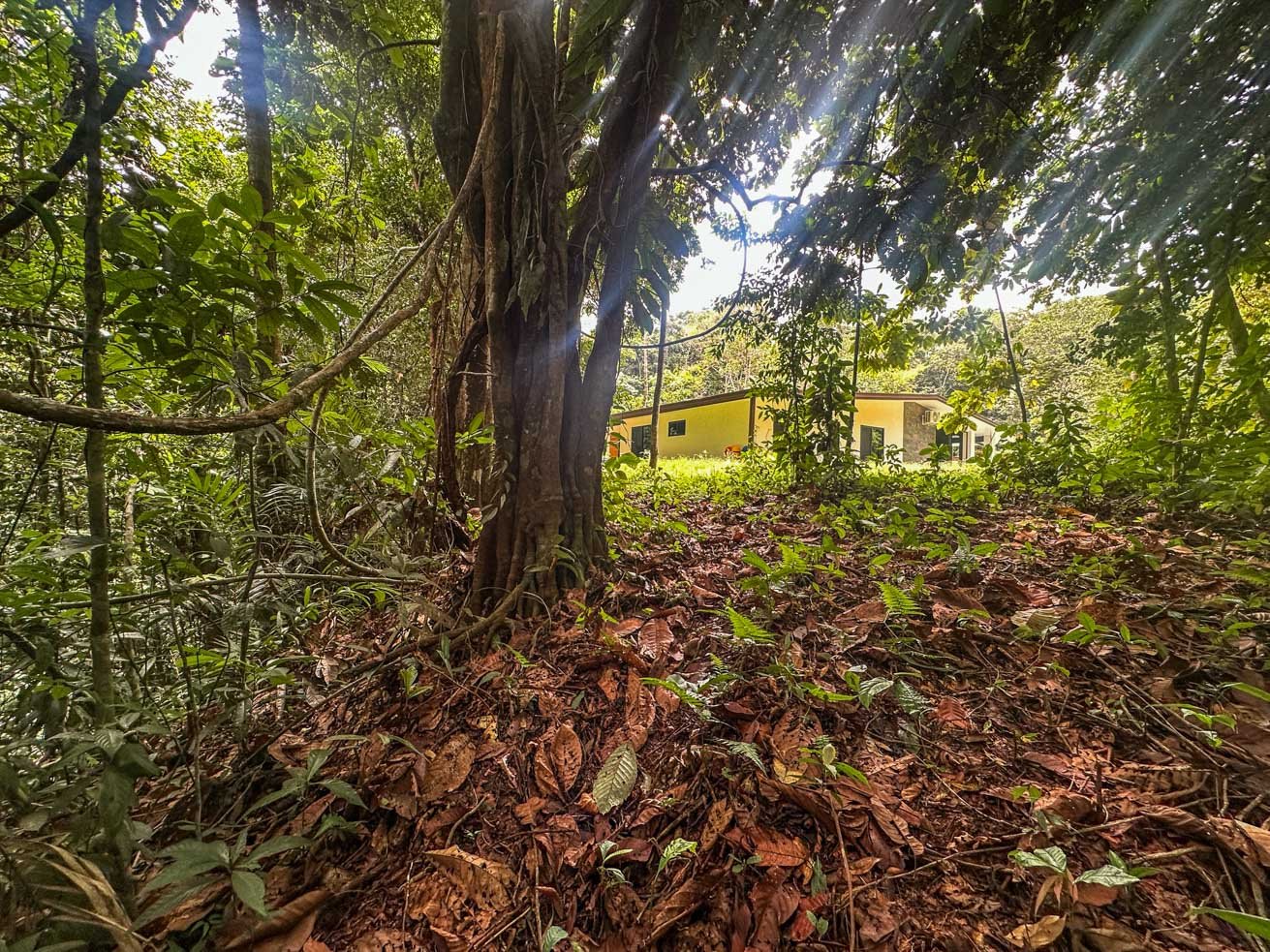 Jungle Home with Riverfront and Orchard in Ojochal Costa Rica