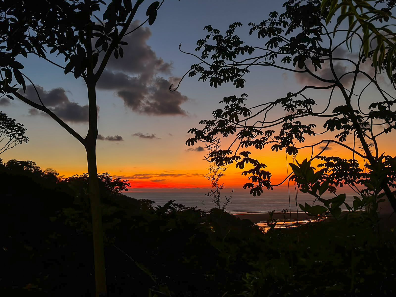 Ocean View Home for Sale in Ojochal with Pool & Jungle Views