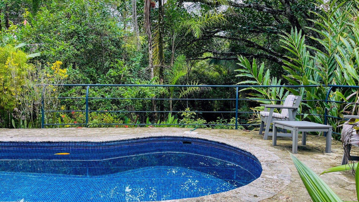 Modern House For Sale With Jungle View, Peaceful Stream, and Rental Cabins