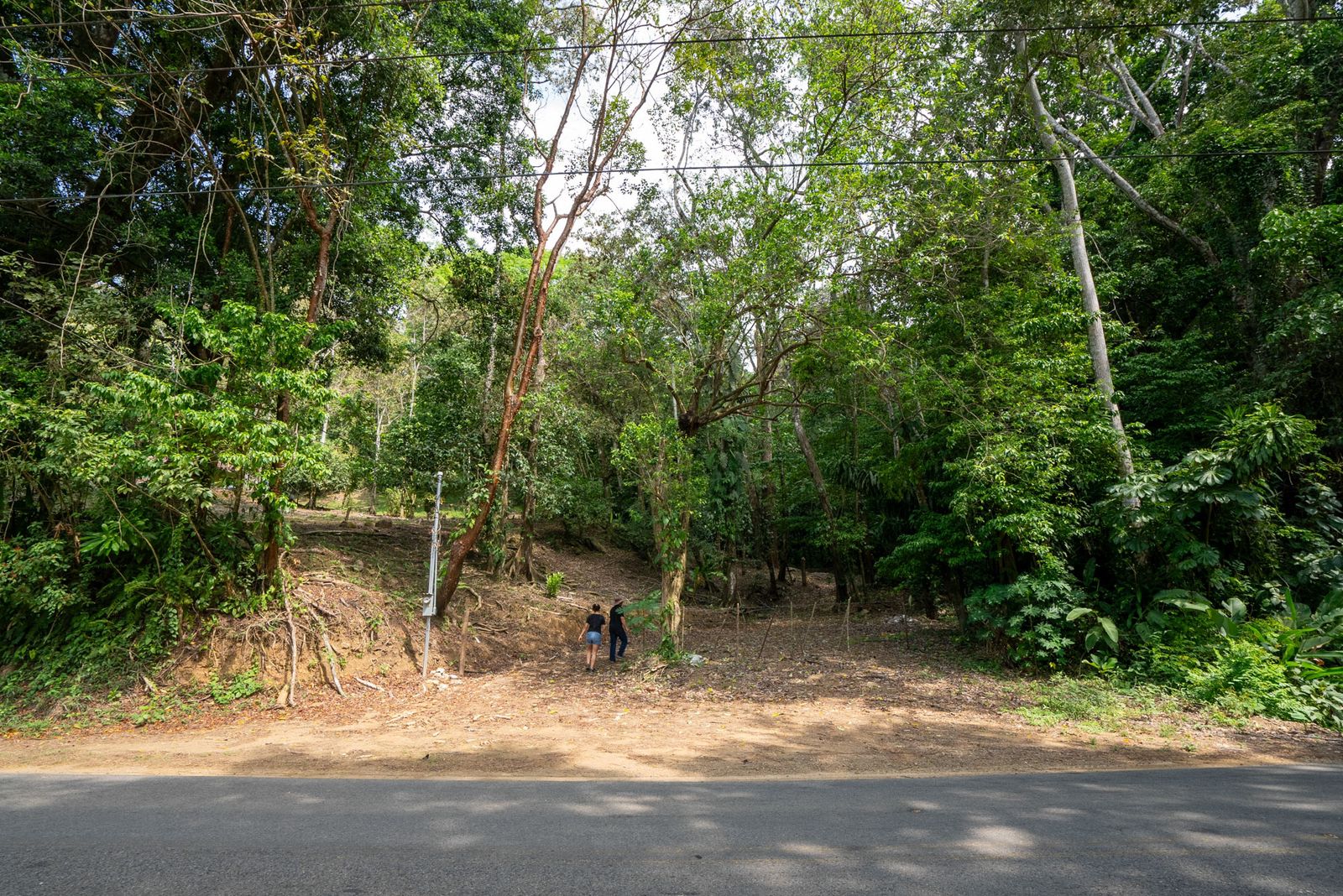 Rare 86-Acre Ocean View Estate Bordering Hacienda Barú – A Unique Opportunity for Conservation and Development