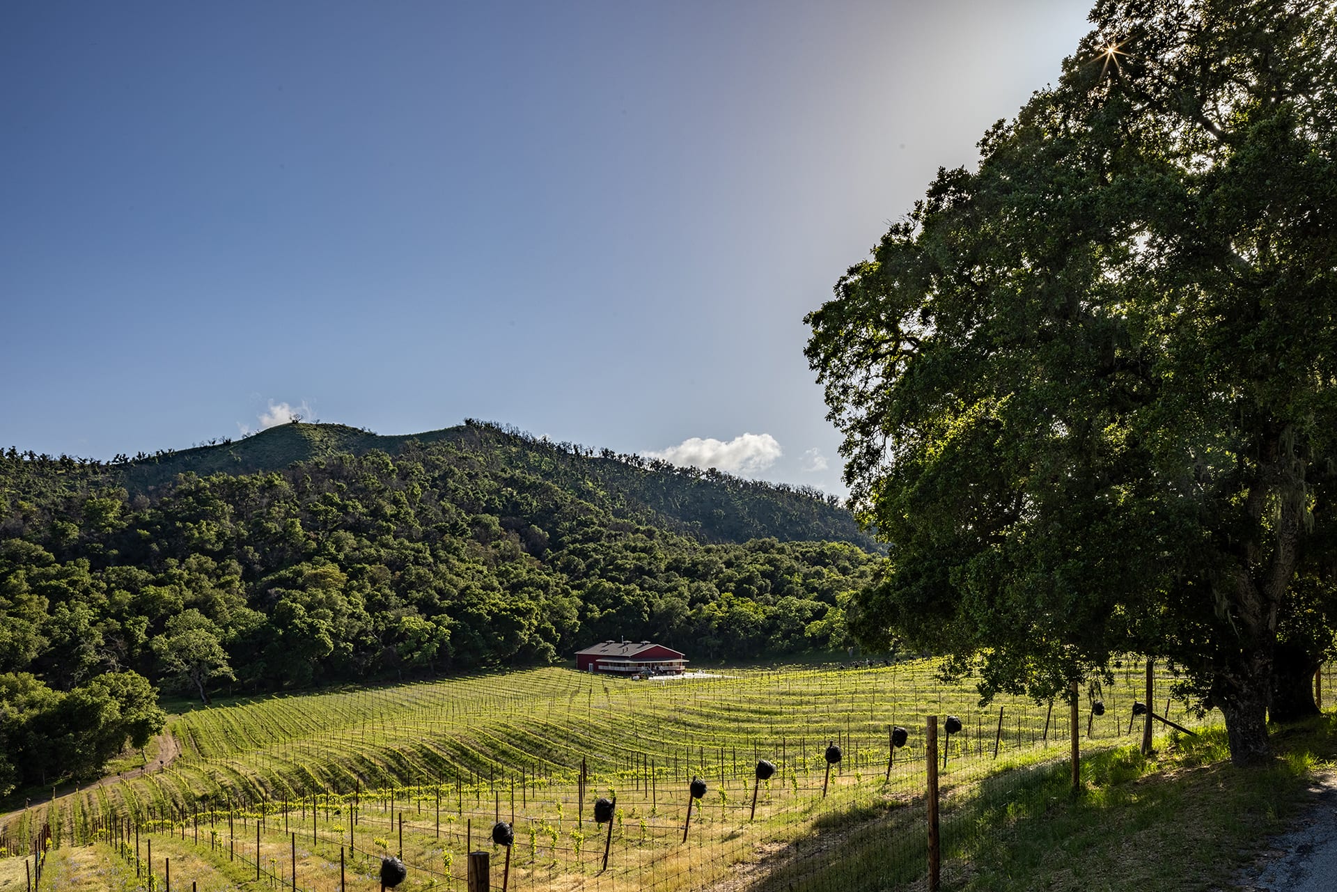 Wine Country Perfection - 17380 Cachagua Road