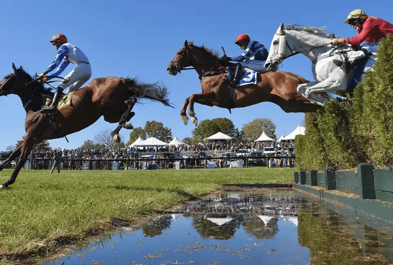 International Gold Cup