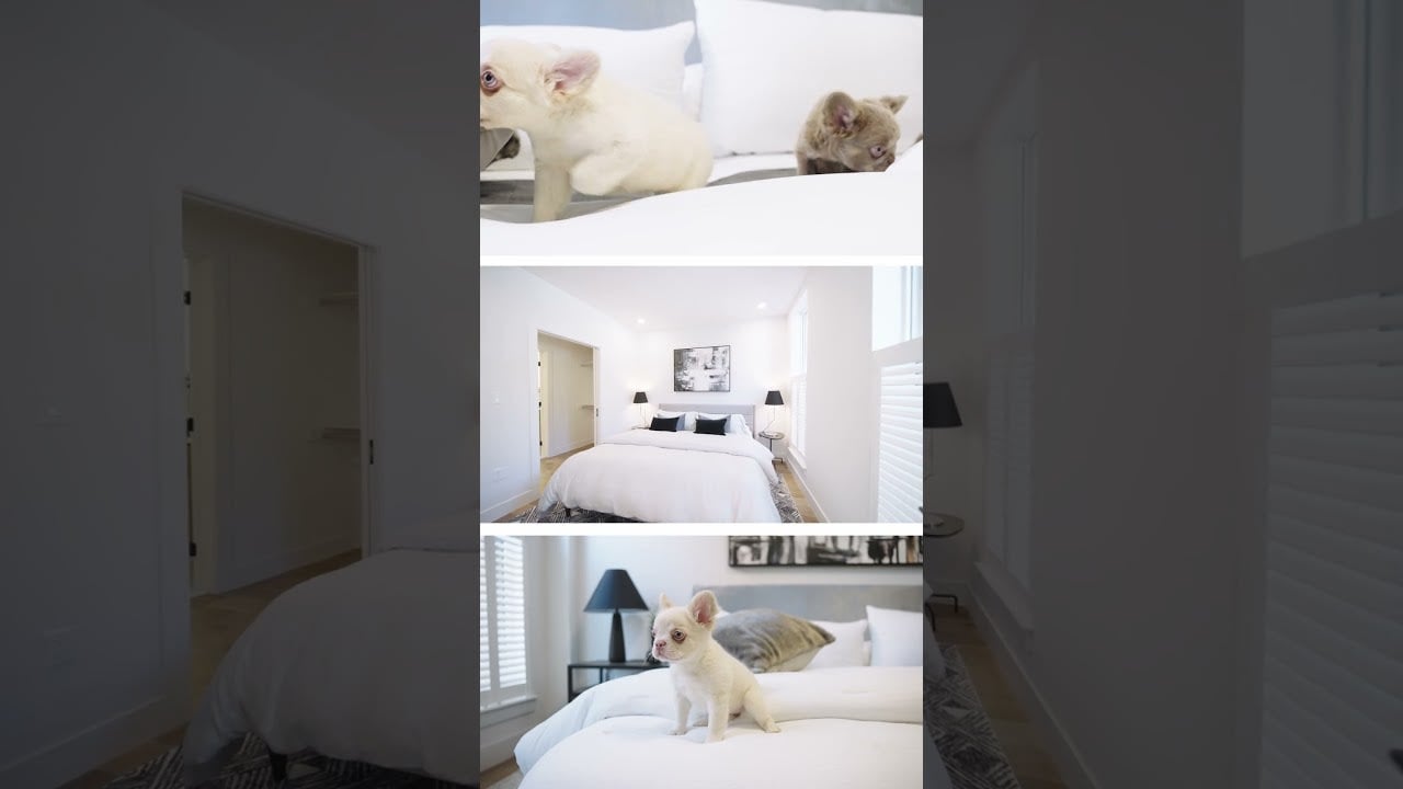 Property Video: 566 Columbus Avenue