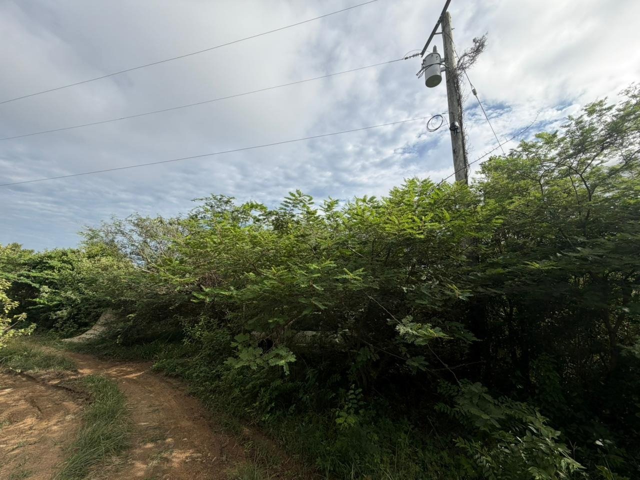 1096 George's Northside 0.68 Acre Lot