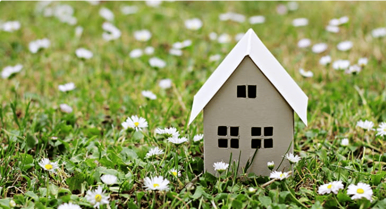 What Sellers Should Prioritize Before Going Live