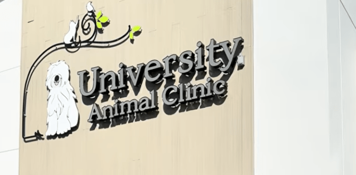 Pet Clinic