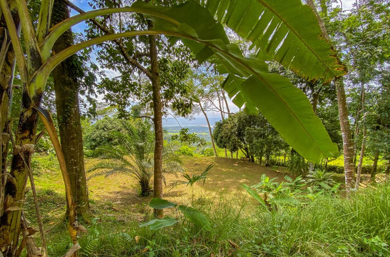 Large Uvita Lot With Whale’s Tail Ocean Views, Sunsets & Legal Water – Ready to Build!