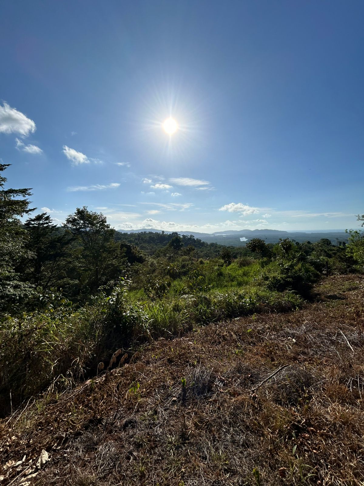 67 acres development (15 titled lots) with breathtaking views in Sierpe