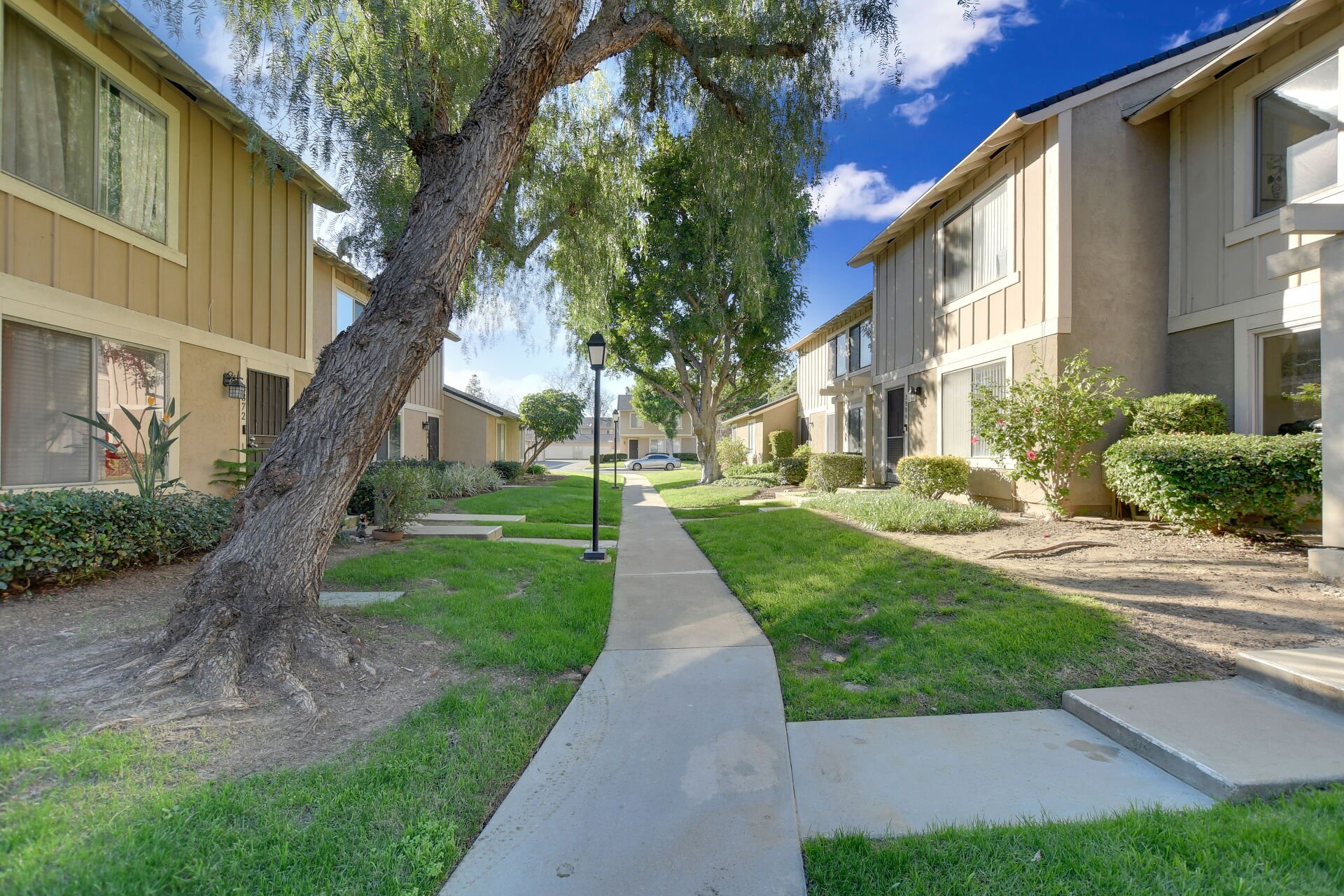 3888 Chelsea Drive