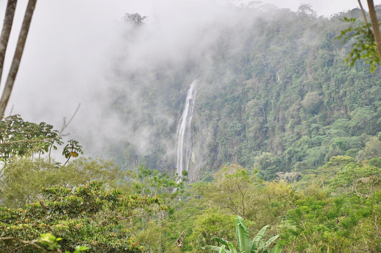 Waterfall View Farm On 80% Usable Land In Uvita