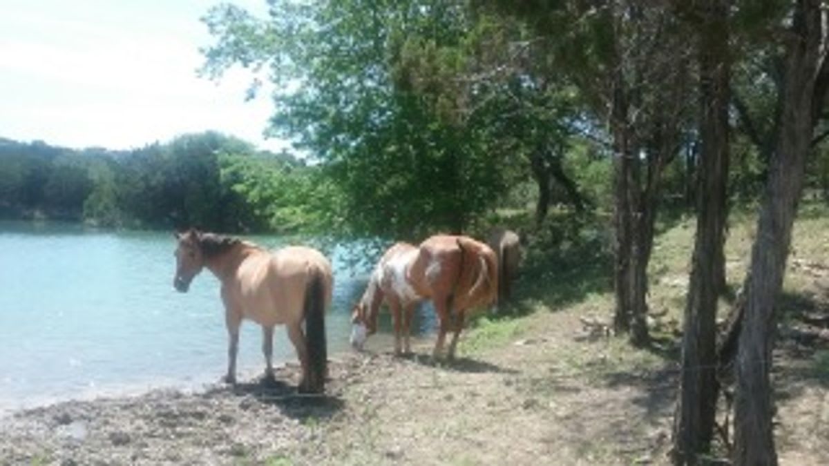 Ranch at Cypress Hill Springs