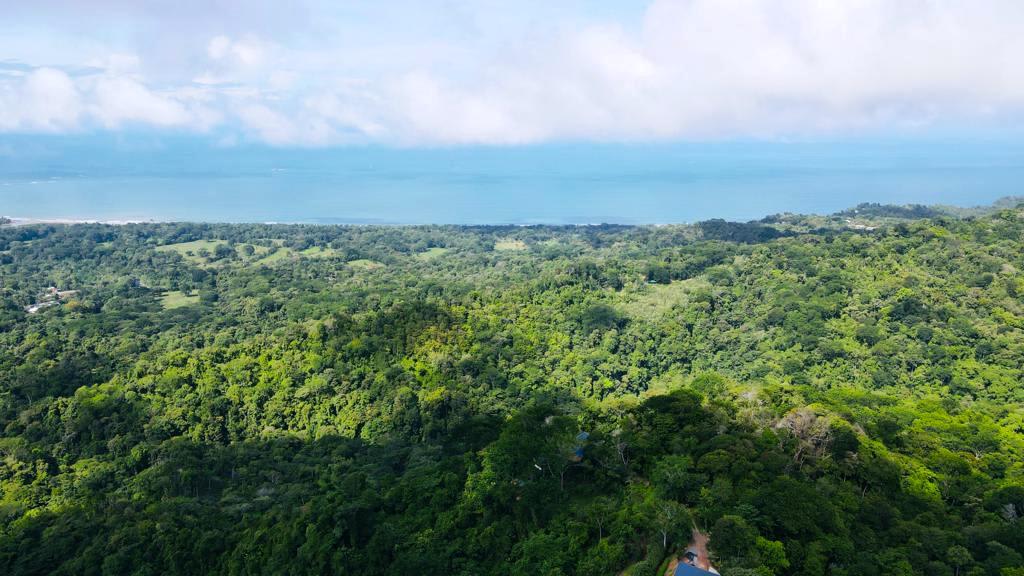 Gorgeous 1.43 Acres in Uvita Costa Rica Your Slice of Paradise Awaits