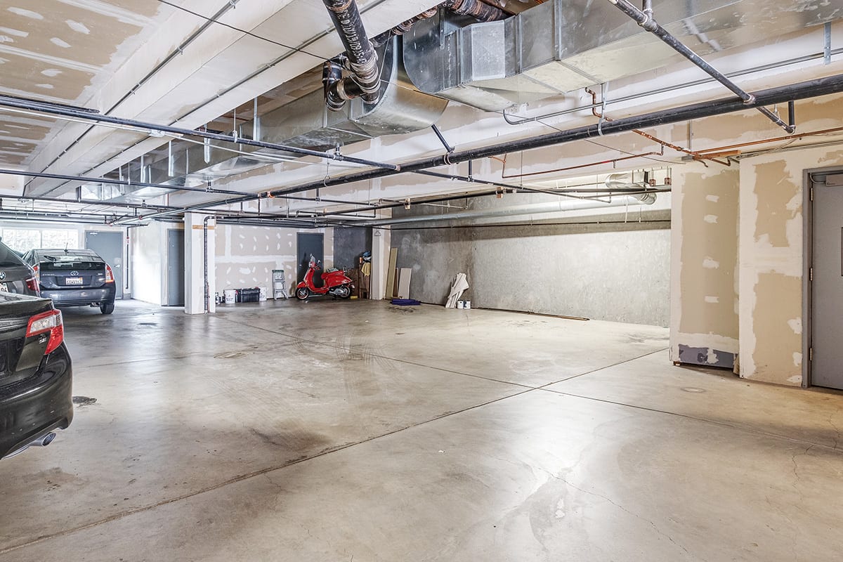 1919 Octavia St., #3